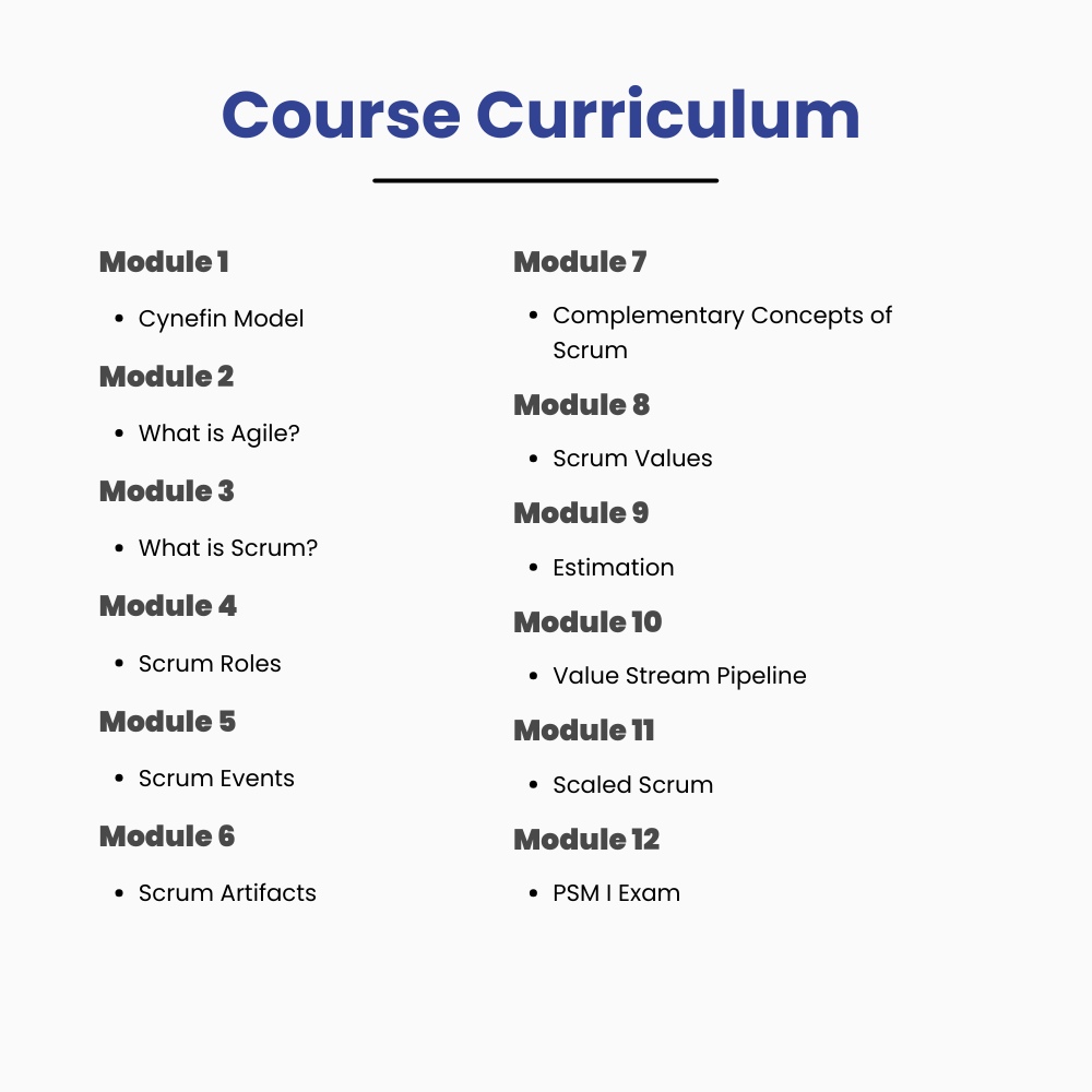 Scrum Master Professional Certificate Course
